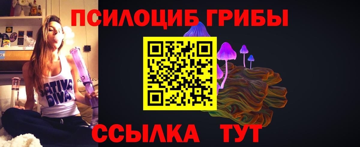 Елец  что такое   Вход с VPN  Псилоцибиновые грибы прущие грибы 